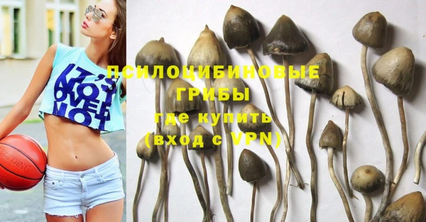 прущая мука Богданович