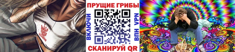 Псилоцибиновые грибы Magic Shrooms  Купить где  Благодарный 